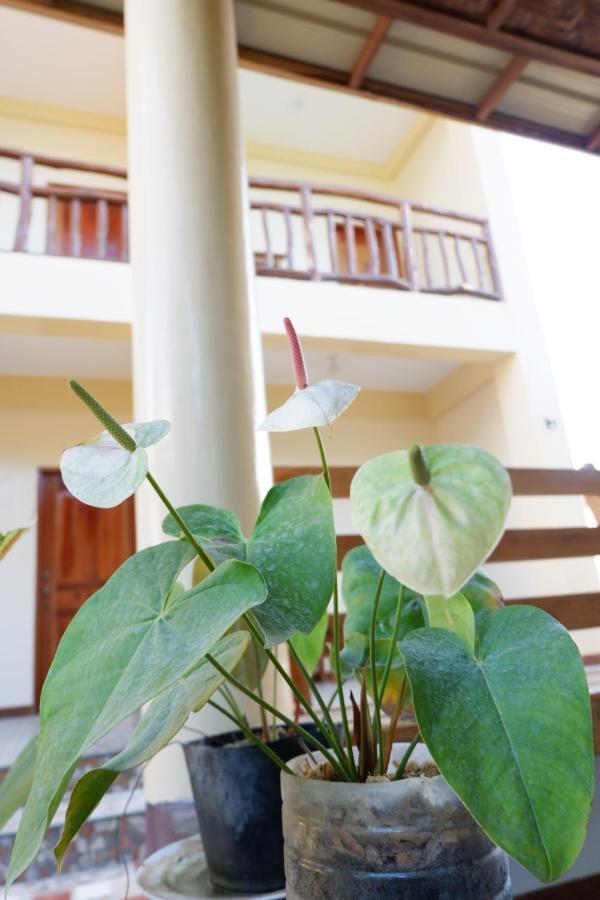 Tlshaw Homestay Генерал-Луна Экстерьер фото